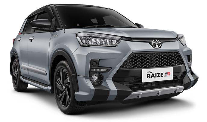 Silver Metallic + Black